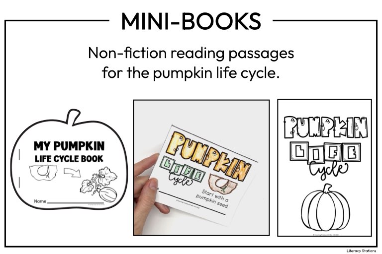 first grade pumpkin life cycle minibook