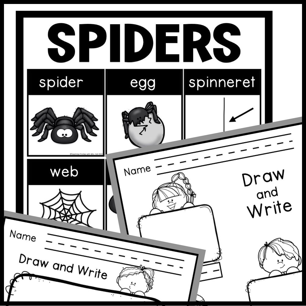 spider writing center