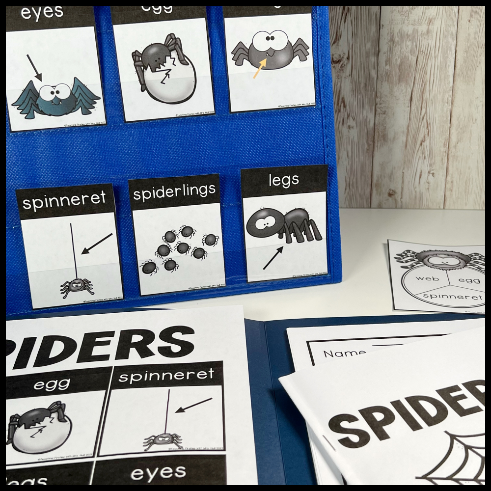 spider writing center