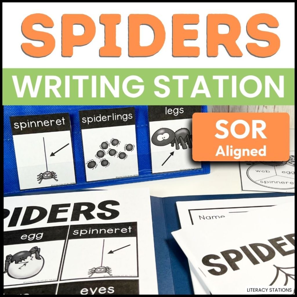 spider writing center